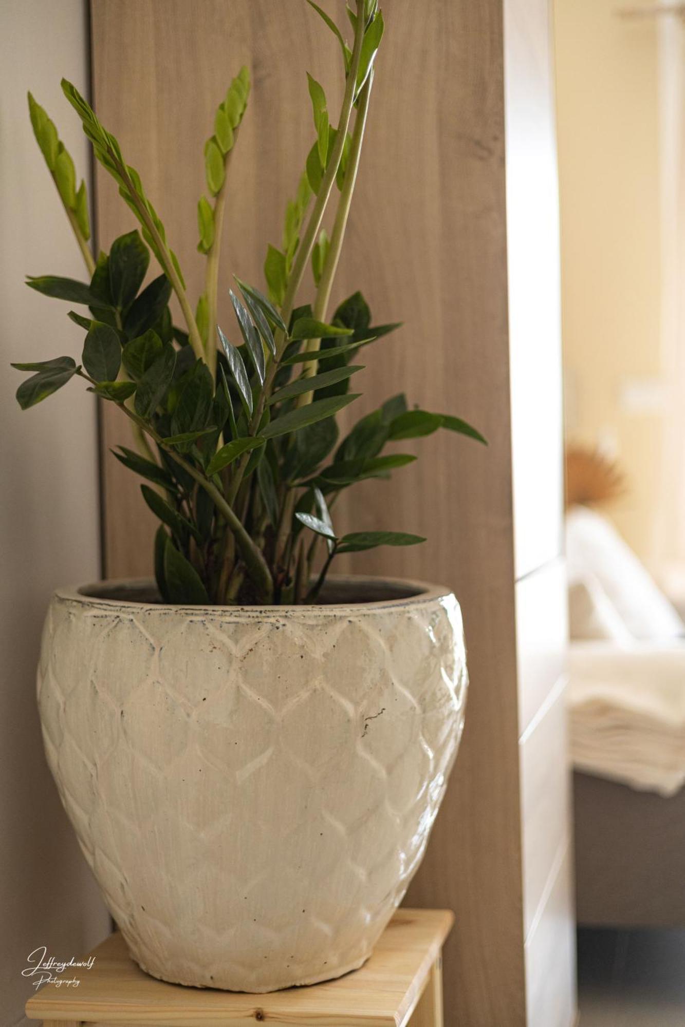 Dushi Townhouse Curacao Apartment วิลเลมสตัด ภายนอก รูปภาพ